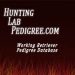 Hunting Lab Pedigree Icon square